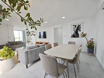 3 Bedroom Penthouse
