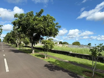 Residential Land
